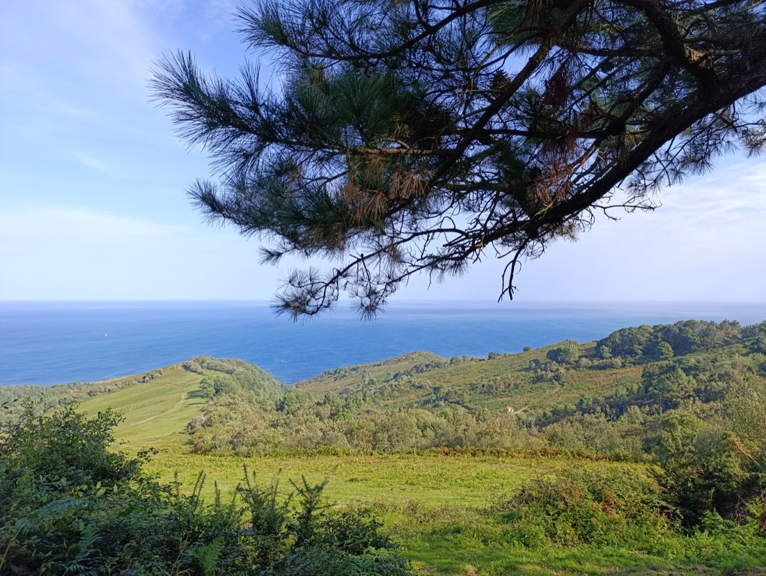 Réflexologie au Pays Basque